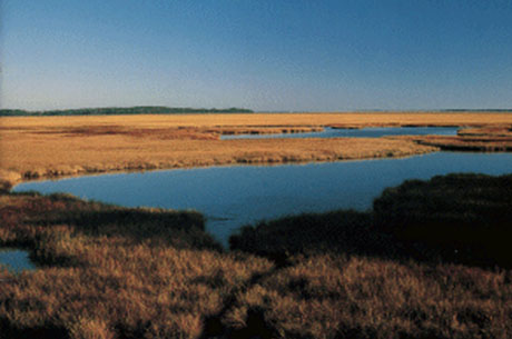 Low-lying areas